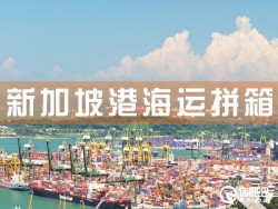 新加坡港海运拼箱，深圳到新加坡港海运拼箱查询